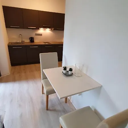 Exclusive Viva Guest house Mlada Boleslav
