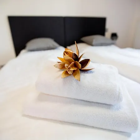Guest house Exclusive Viva *
