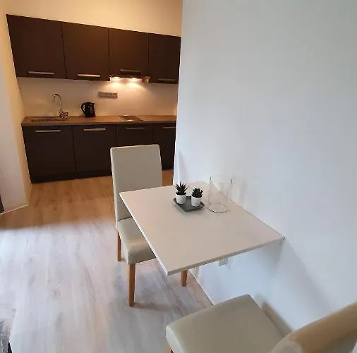 Exclusive Viva Maison d'hôtes Mladá Boleslav